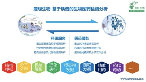 鹿明生物舒烈波 以質譜檢測技術服務科學家與藥企的“店小二”精神
