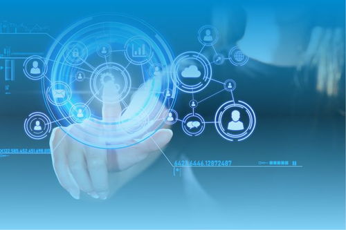 商品計劃管理系統(tǒng) 信息咨詢服務(wù)如何助力企業(yè)實(shí)現(xiàn)高效決策與資源配置